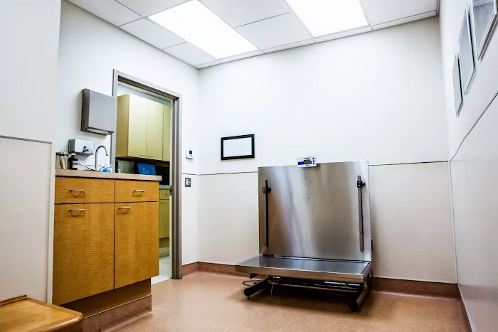 Glenmoore Veterinary Hospital Picture 7