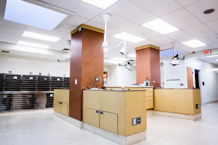 Glenmoore Veterinary Hospital Picture 8