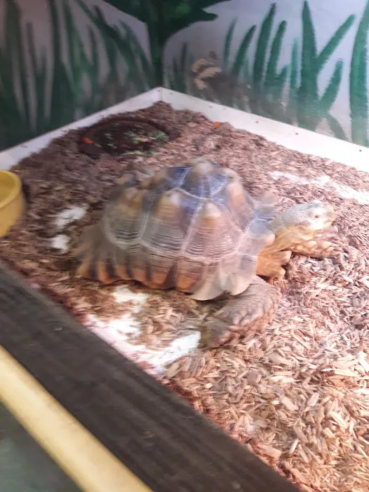 The Pet Zone Picture 2