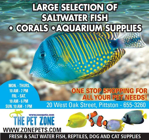 The Pet Zone Picture 4