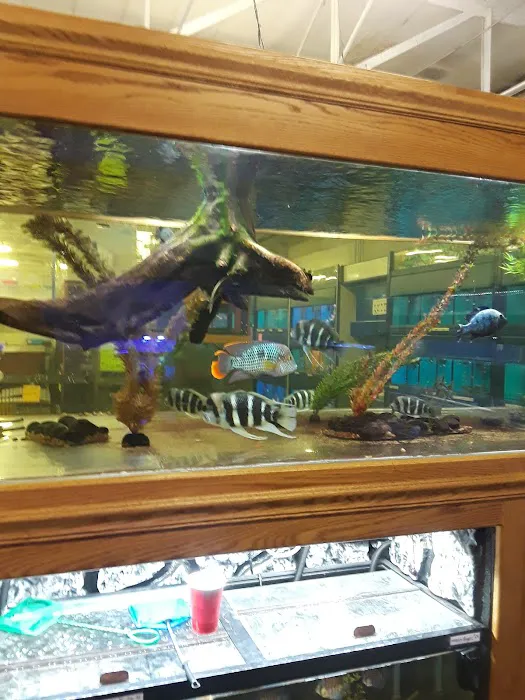 The Pet Zone Picture 6