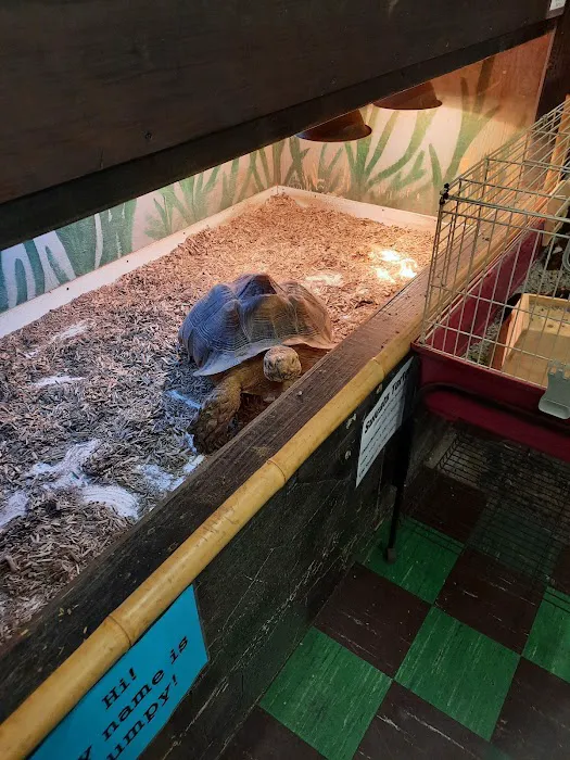 The Pet Zone Picture 8