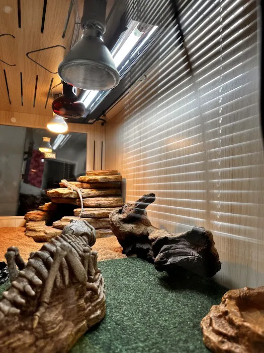 The Pet Zone Picture 10