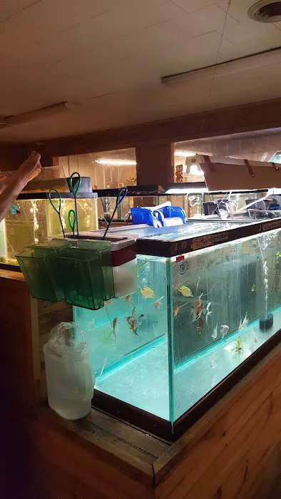 White Mills Pet Shop Picture 3