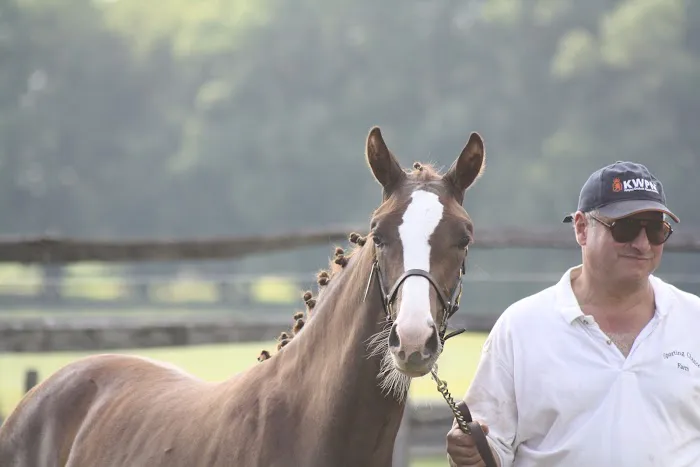 Complete Equine Health Services Picture 3