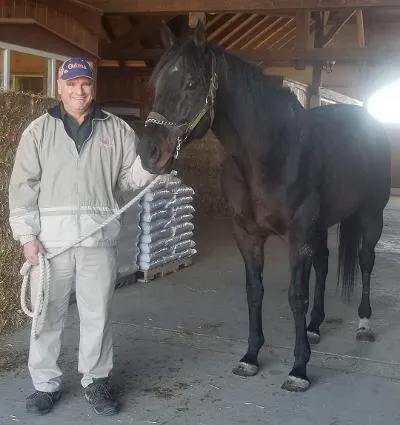 Complete Equine Health Services Picture 5