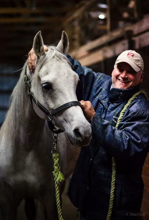 Complete Equine Health Services Picture 6