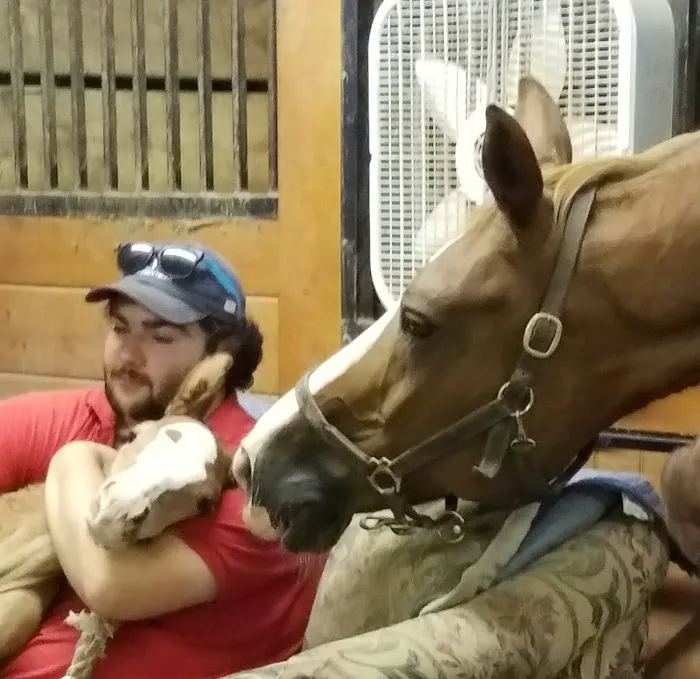 Complete Equine Health Services Picture 9