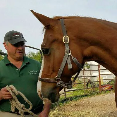 Complete Equine Health Services Picture 7