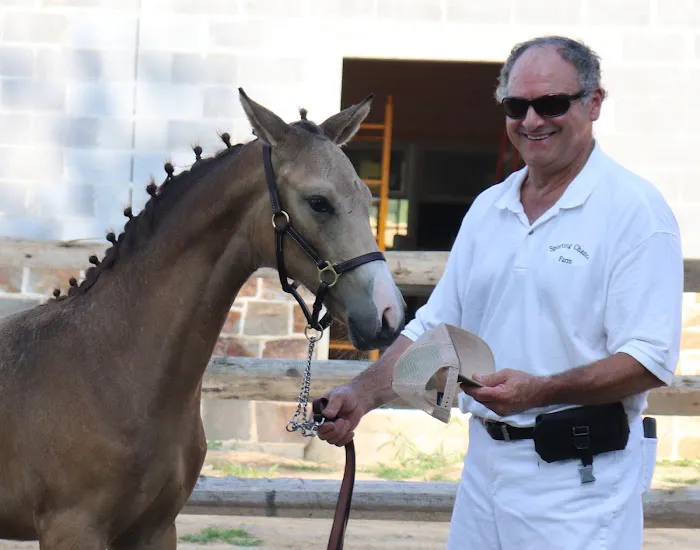 Complete Equine Health Services Picture 10