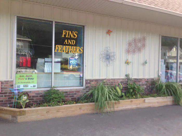 Fins And Feathers Picture 7