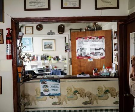 Coatesville Veterinary Hospital