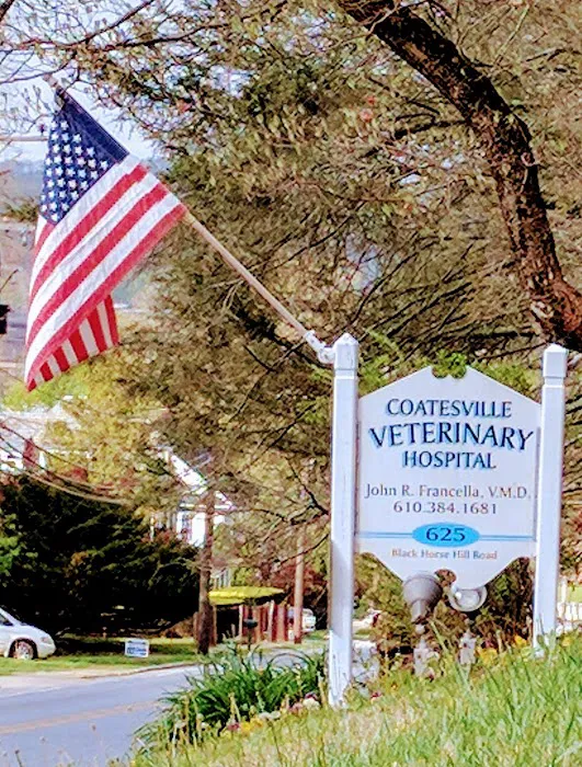Coatesville Veterinary Hospital Picture 6