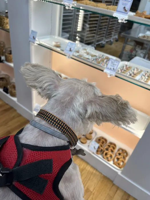 My Dog & Me Barkery and Boutique, LLC Picture 6