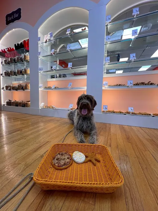 My Dog & Me Barkery and Boutique, LLC Picture 5