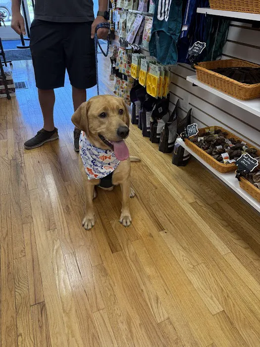 My Dog & Me Barkery and Boutique, LLC Picture 1