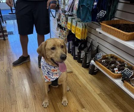 My Dog & Me Barkery and Boutique, LLC