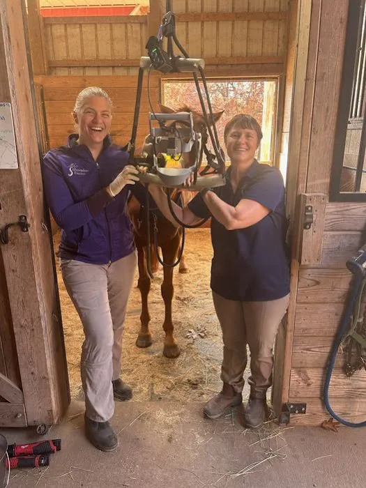 Stillmeadow Equine Veterinary Service LLC Picture 2