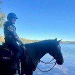 Stillmeadow Equine Veterinary Service LLC