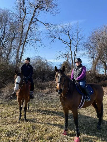 Stillmeadow Equine Veterinary Service LLC Picture 3