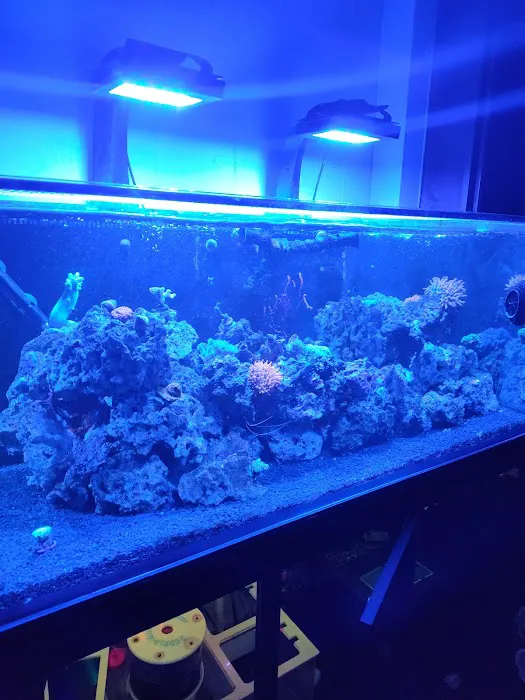 The Sea Shack Picture 1