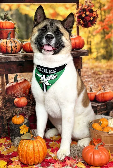 Brandywine Valley Veterinary Hospital Picture 3