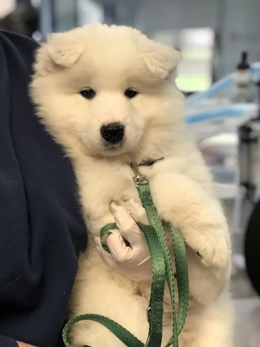 Brandywine Valley Veterinary Hospital Picture 6