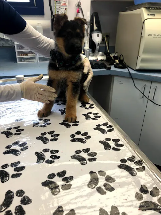 Brandywine Valley Veterinary Hospital Picture 7