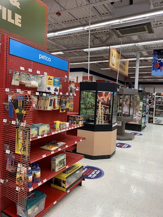 Petco Picture 3