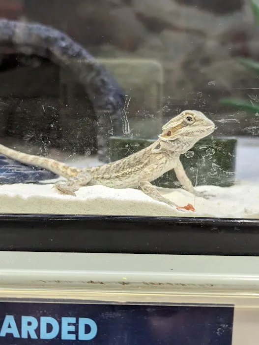 Petco Picture 4