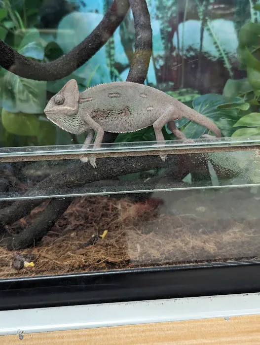 Petco Picture 7
