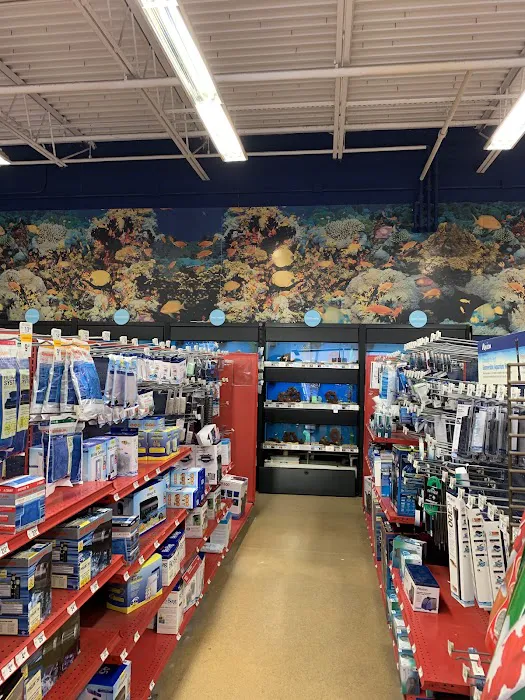 Petco Picture 8