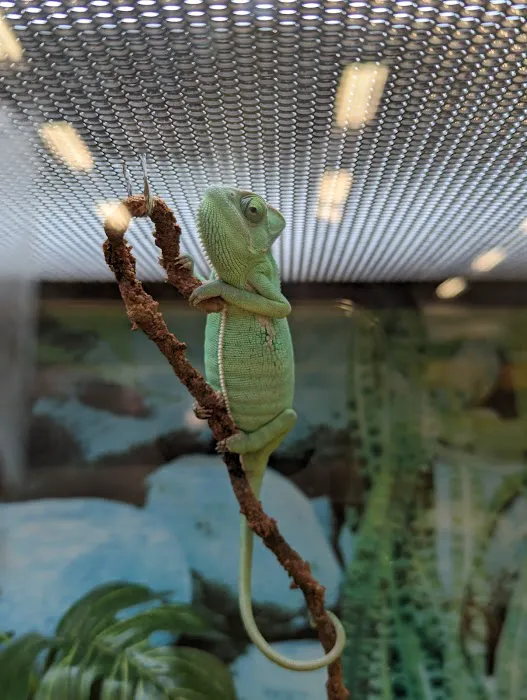 Petco Picture 10