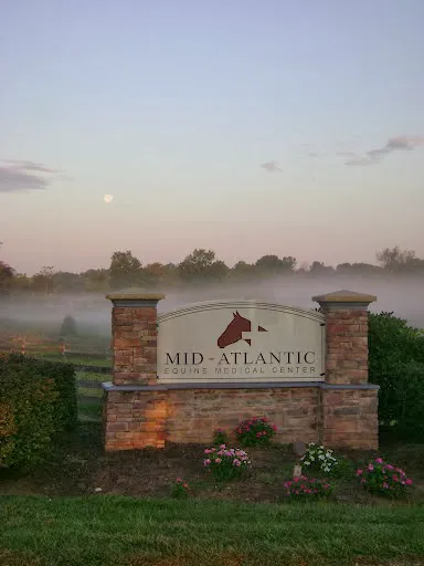 Mid-Atlantic Equine Medical Center Picture 3
