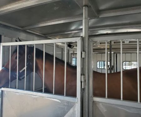 Mid-Atlantic Equine Medical Center
