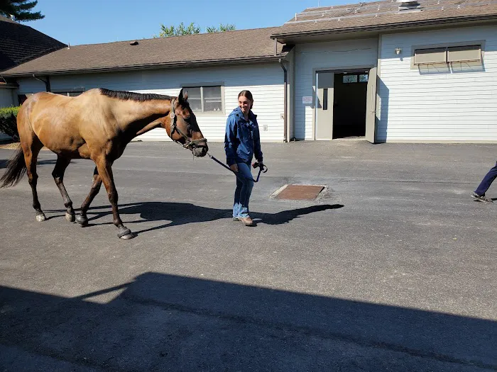 Mid-Atlantic Equine Medical Center Picture 5