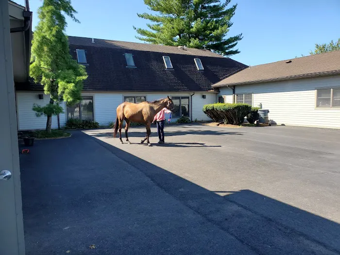 Mid-Atlantic Equine Medical Center Picture 4