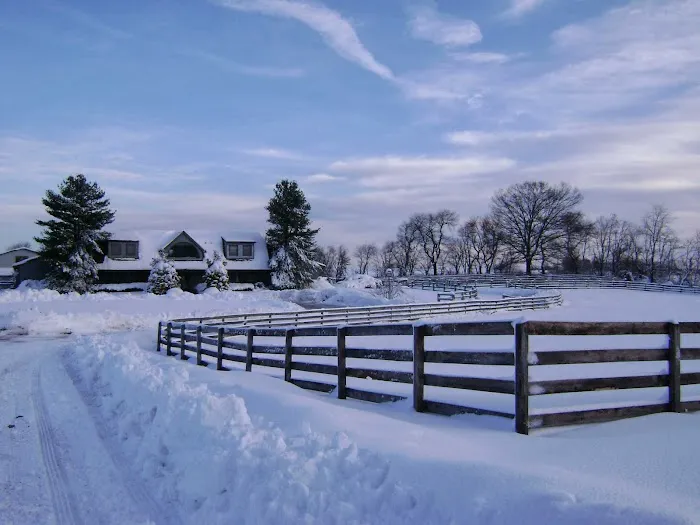 Mid-Atlantic Equine Medical Center Picture 6
