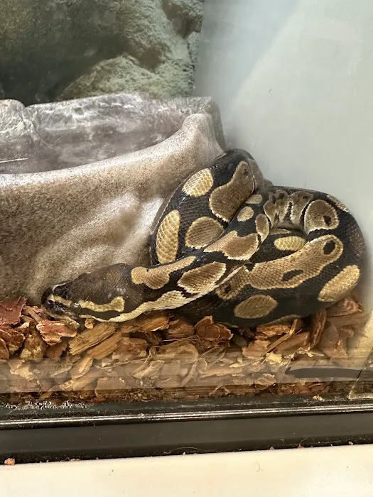 Petco Picture 9
