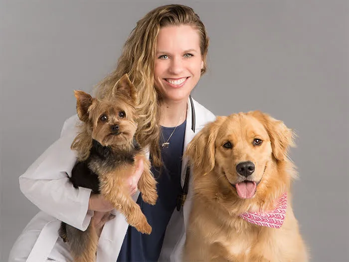 HomeCare Veterinary Clinic Picture 2