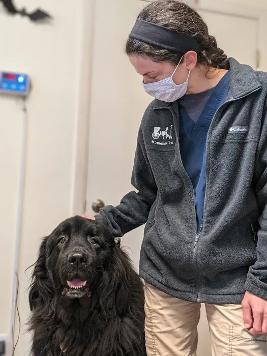 HomeCare Veterinary Clinic Picture 10