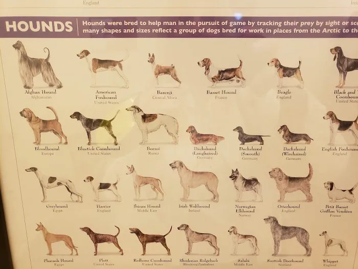 HomeCare Veterinary Clinic Picture 8