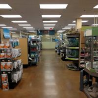 Petco ico