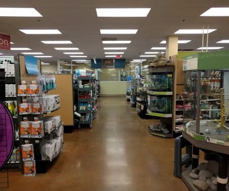 Petco