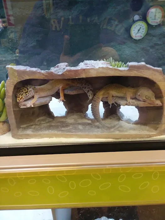 Petco Picture 8