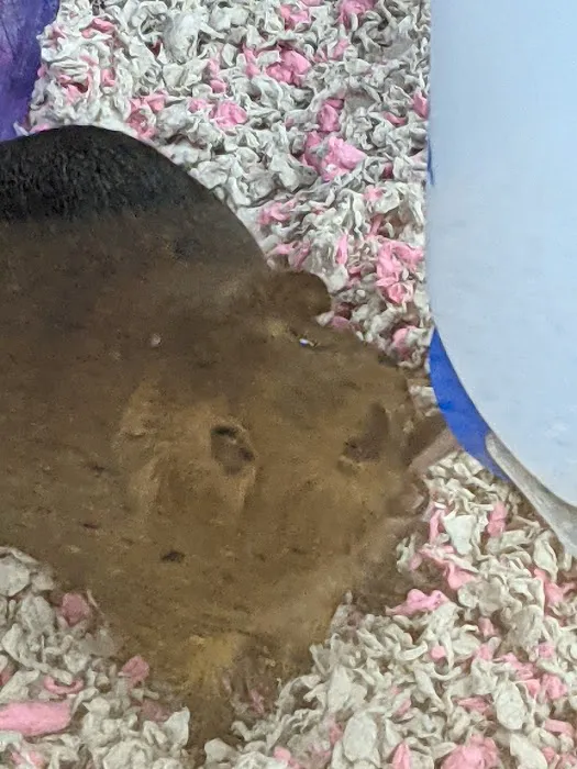 Petco Picture 5