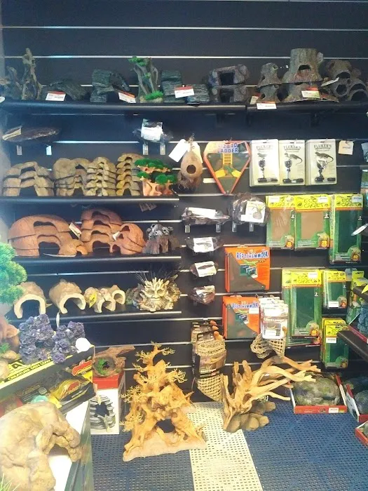 Everything Reptile Picture 3