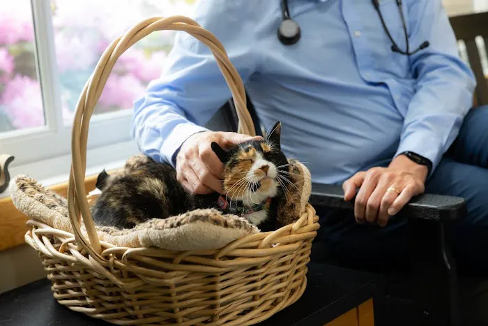 Harlingen Veterinary Clinic Picture 1