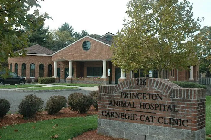 Princeton Animal Hospital & Carnegie Cat Clinic Picture 1