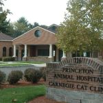 Princeton Animal Hospital & Carnegie Cat Clinic